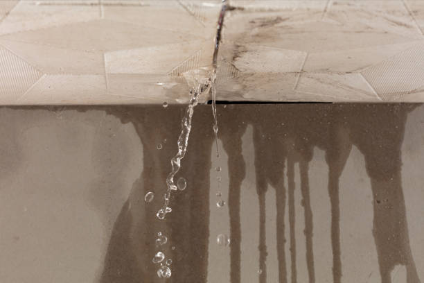 Professional Burst Pipe Cleanup technician working in Union Bridge, MD